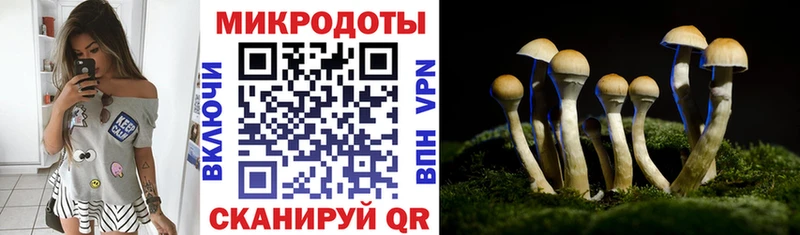 хочу наркоту  Суровикино  Псилоцибиновые грибы прущие грибы 